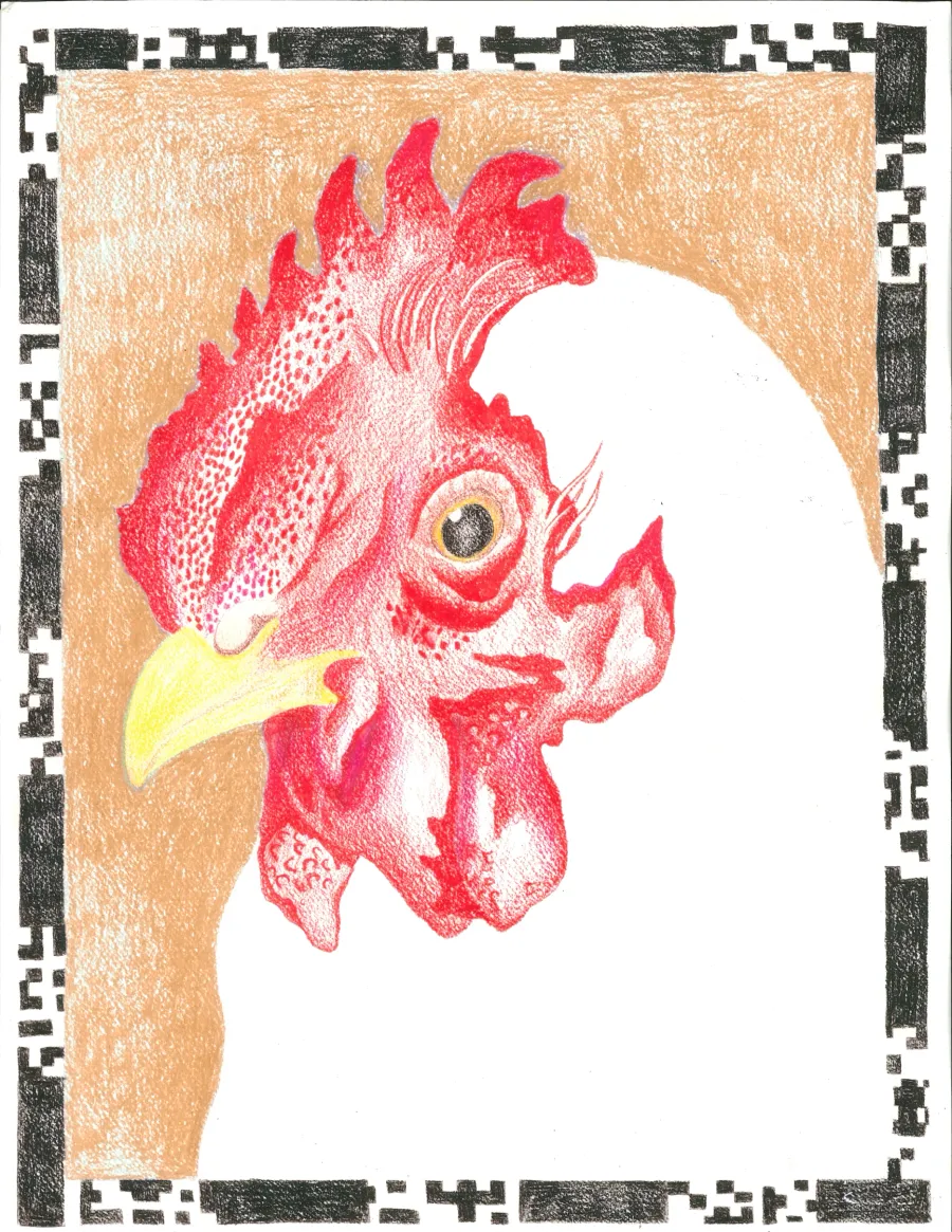 Hand-drawn rooster illustration used on the Paradiso Pizza menu